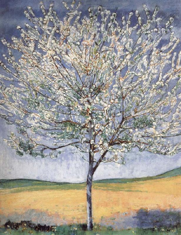 Ferdinand Hodler Cherry tree in bloom china oil painting image